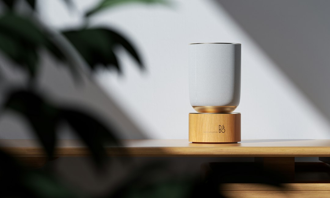 Photo voice controlled portable white ceramic lamp